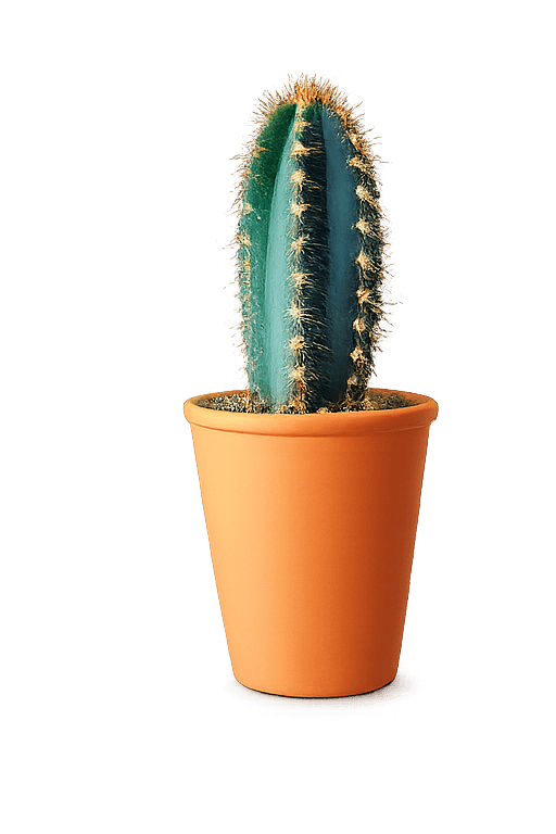 Best O2 plant